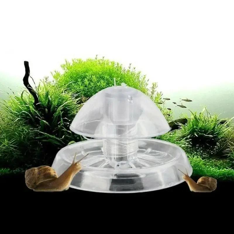 Aquarium Planting Ideas - Nuova Trappola per Lumache in Plastica