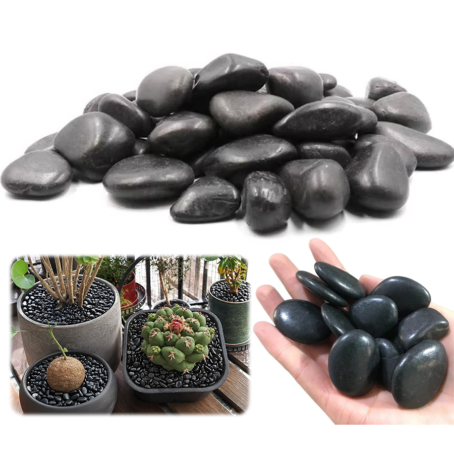 Aquarium Planting Ideas - 200/300/400g di Ciottoli Neri Lucidati –