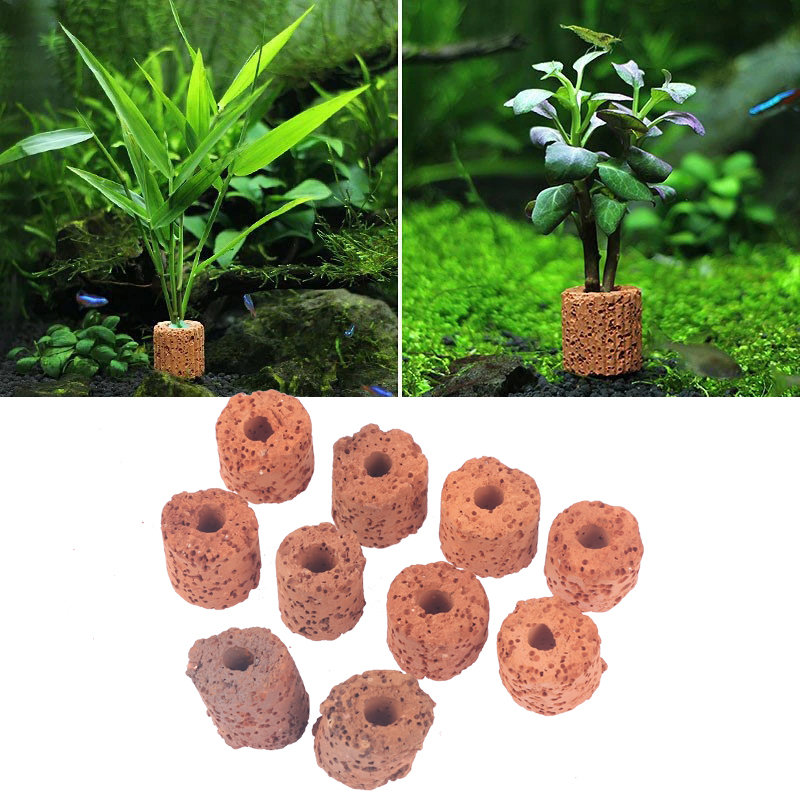 Aquarium Planted Setup - Mini anello per piante acquatiche da