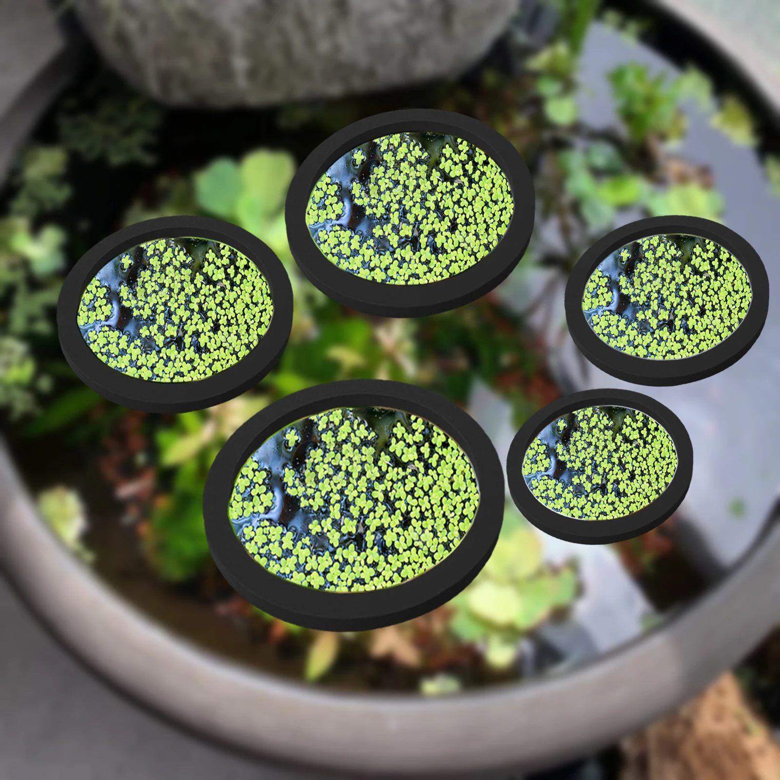 Aquarium Planted Aquarium - 5 pz EVA Anello di Alimentazione