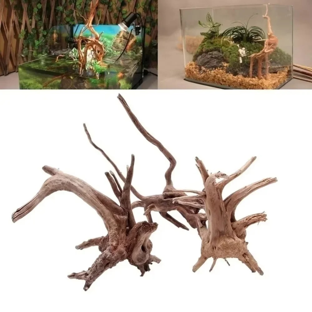 Aquarium Planting Ideas - (15-20 cm) Decorazione per Acquario in