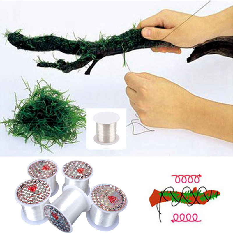 Aquarium Plant Echinodorus - 120M FAI DA TE Muschio Linea