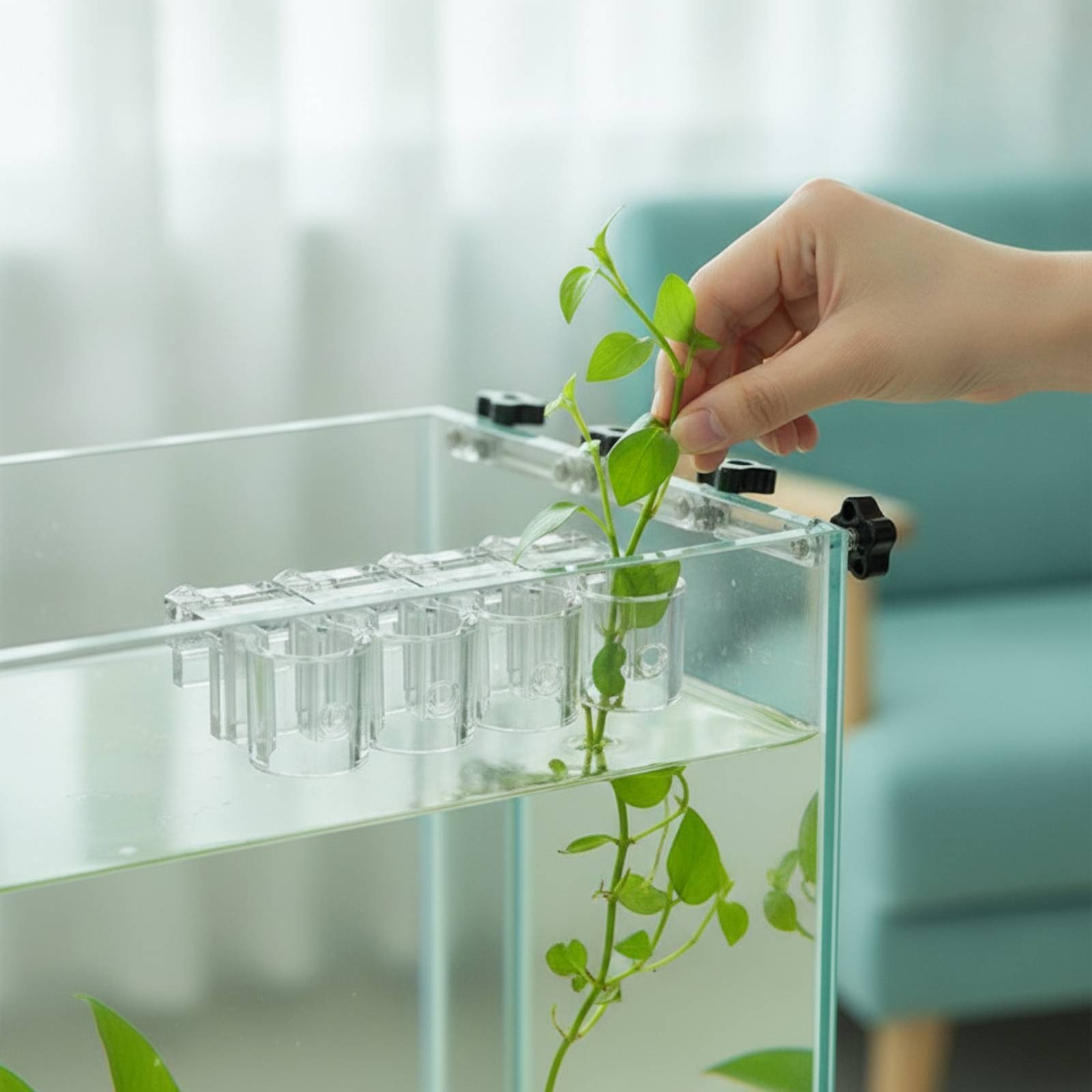 Set di 6 Supporti per Piante A - Aquarium Planted Aquarium recensione e prezzo