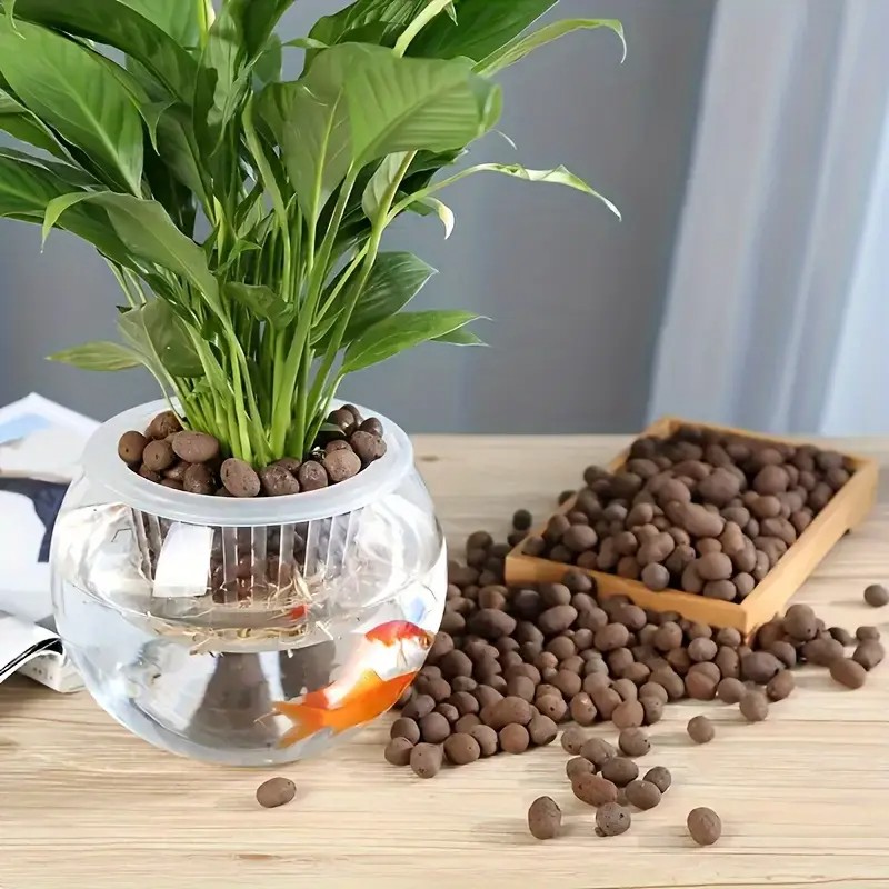 Pellet di terracotta leggeri e - Aquarium Planted Aquarium recensione e prezzo