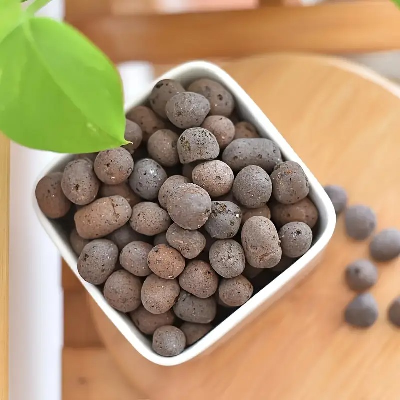 Pellet di terracotta leggeri e - Aquarium Planted Aquarium recensione e prezzo