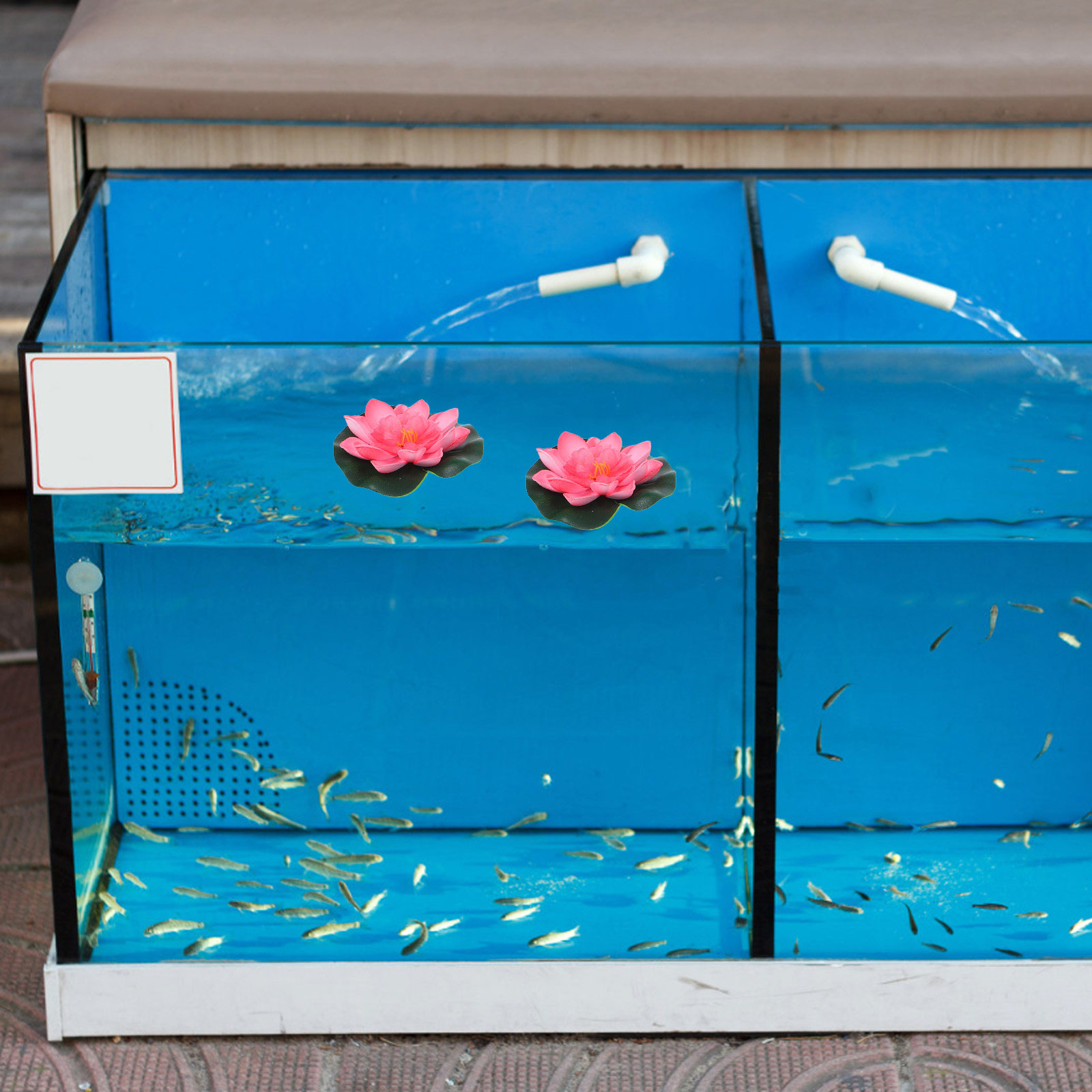 12 fiori artificiali galleggia - Aquarium Planted Aquarium recensione e prezzo