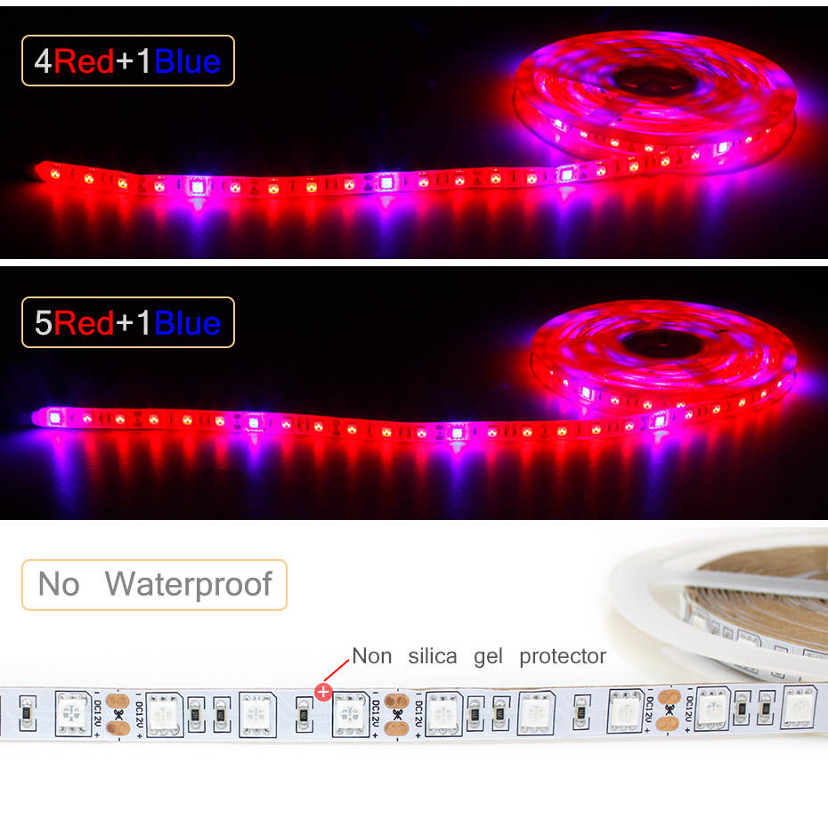 Striscia LED per Coltivazione  - Aquarium Plant Echinodorus recensione e prezzo