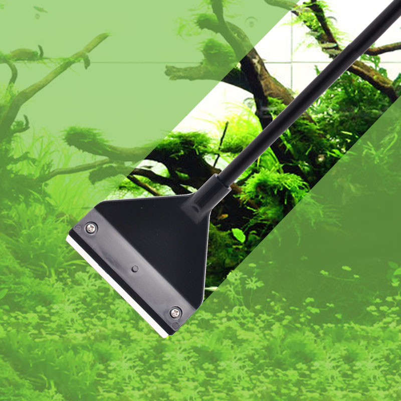 Rimozione delle alghe dell'acq - Planted Aquarium Tool Kit recensione e prezzo