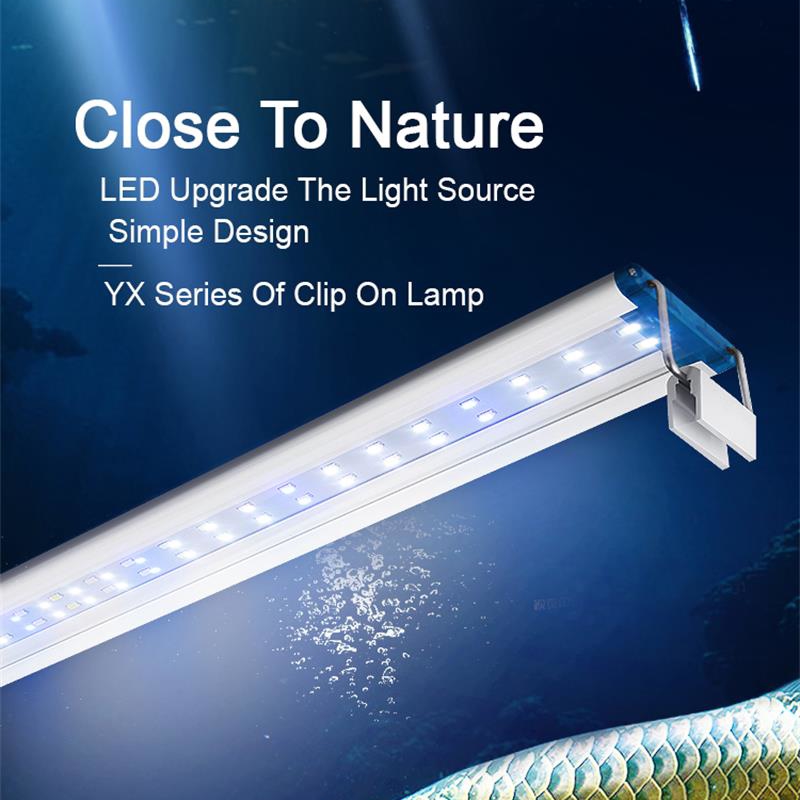 Clip impermeabile estensibile  - Aquarium Plant Iron recensione e prezzo
