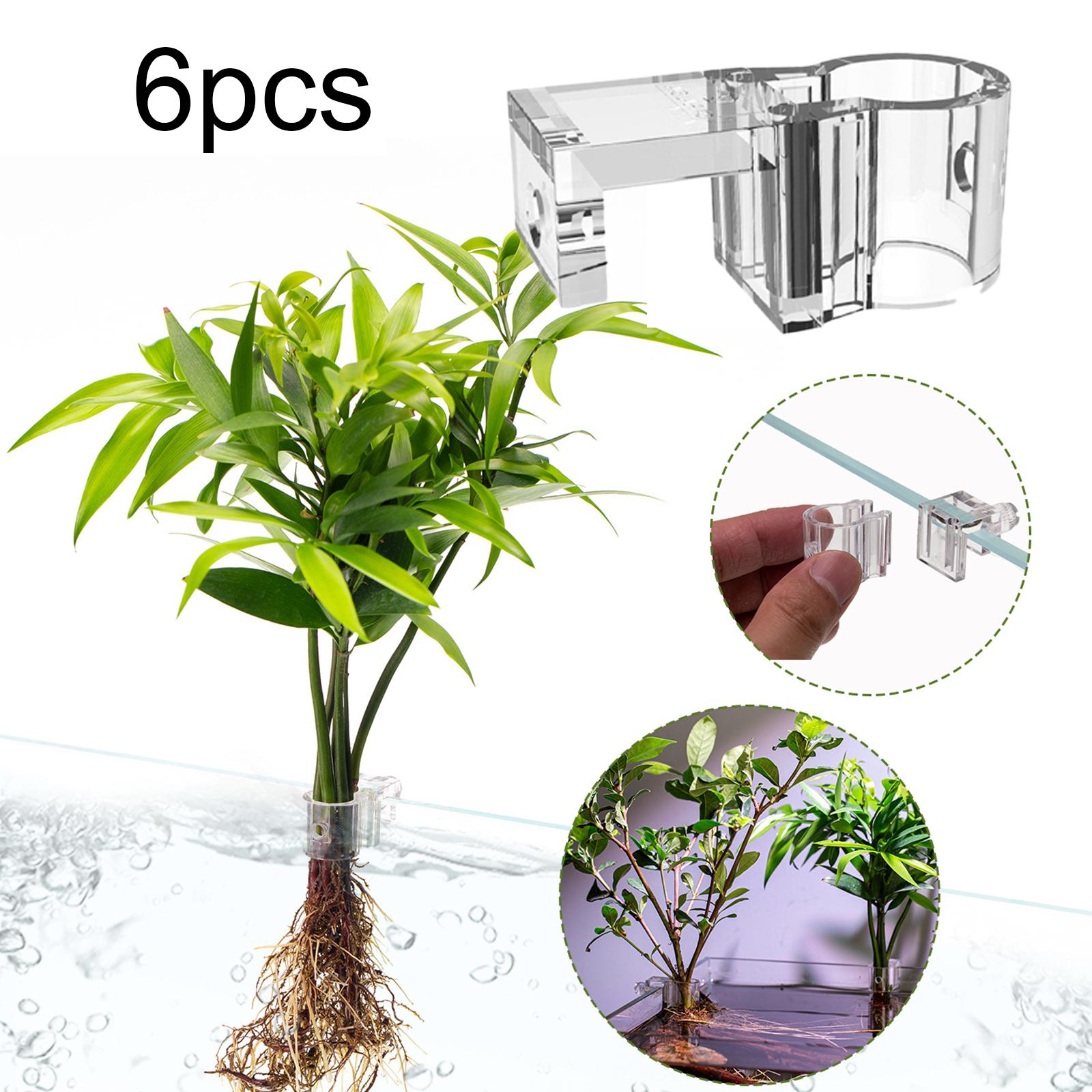 Porta Piante Trasparente per A - Aquarium Planted Setup recensione e prezzo