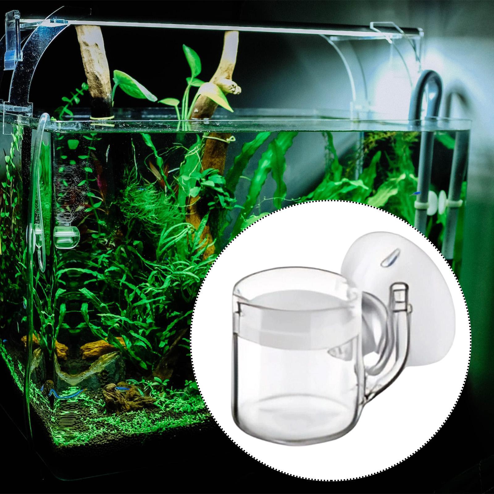 Diffusore di CO2 per acquario  - Aquarium Planted Setup recensione e prezzo