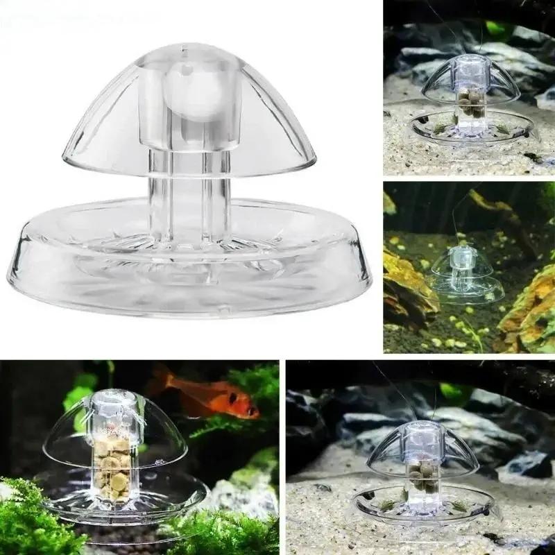 Nuova Trappola per Lumache in  - Aquarium Planting Ideas recensione e prezzo