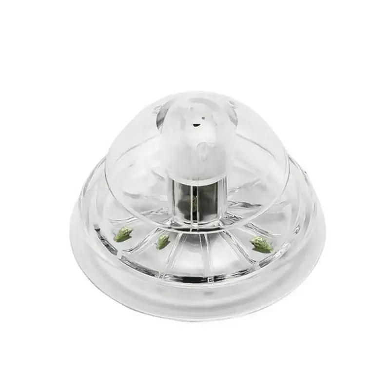 Nuova Trappola per Lumache in  - Aquarium Planting Ideas recensione e prezzo