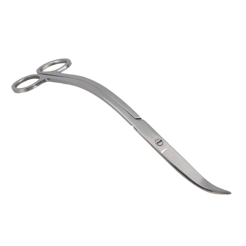 Set di strumenti per forbici p - Planted Aquarium Tool Kit recensione e prezzo
