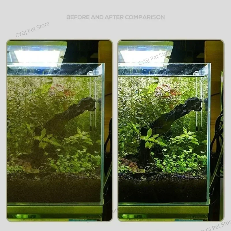 Strumento per la pulizia dell' - Planted Aquarium Kit recensione e prezzo
