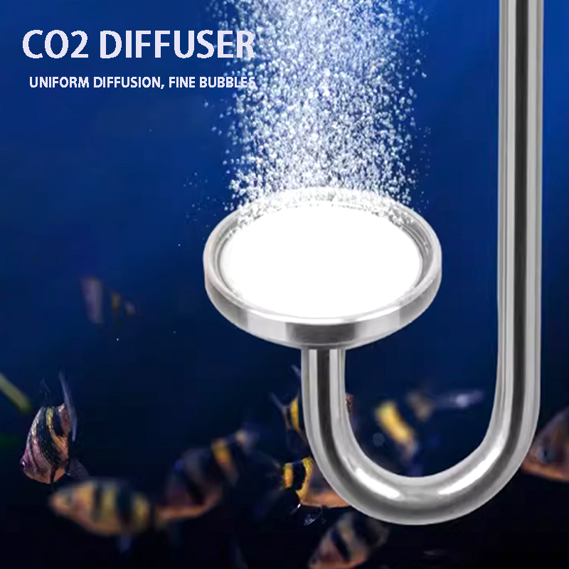 Nebulizzatore di CO2 per acqua - Aquarium Plant In Pot recensione e prezzo