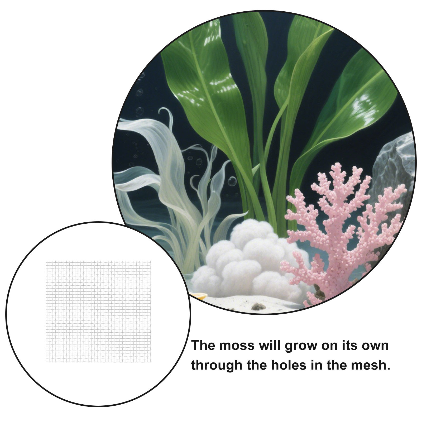 12 pezzi di rete metallica in  - Aquarium Planted Setup recensione e prezzo