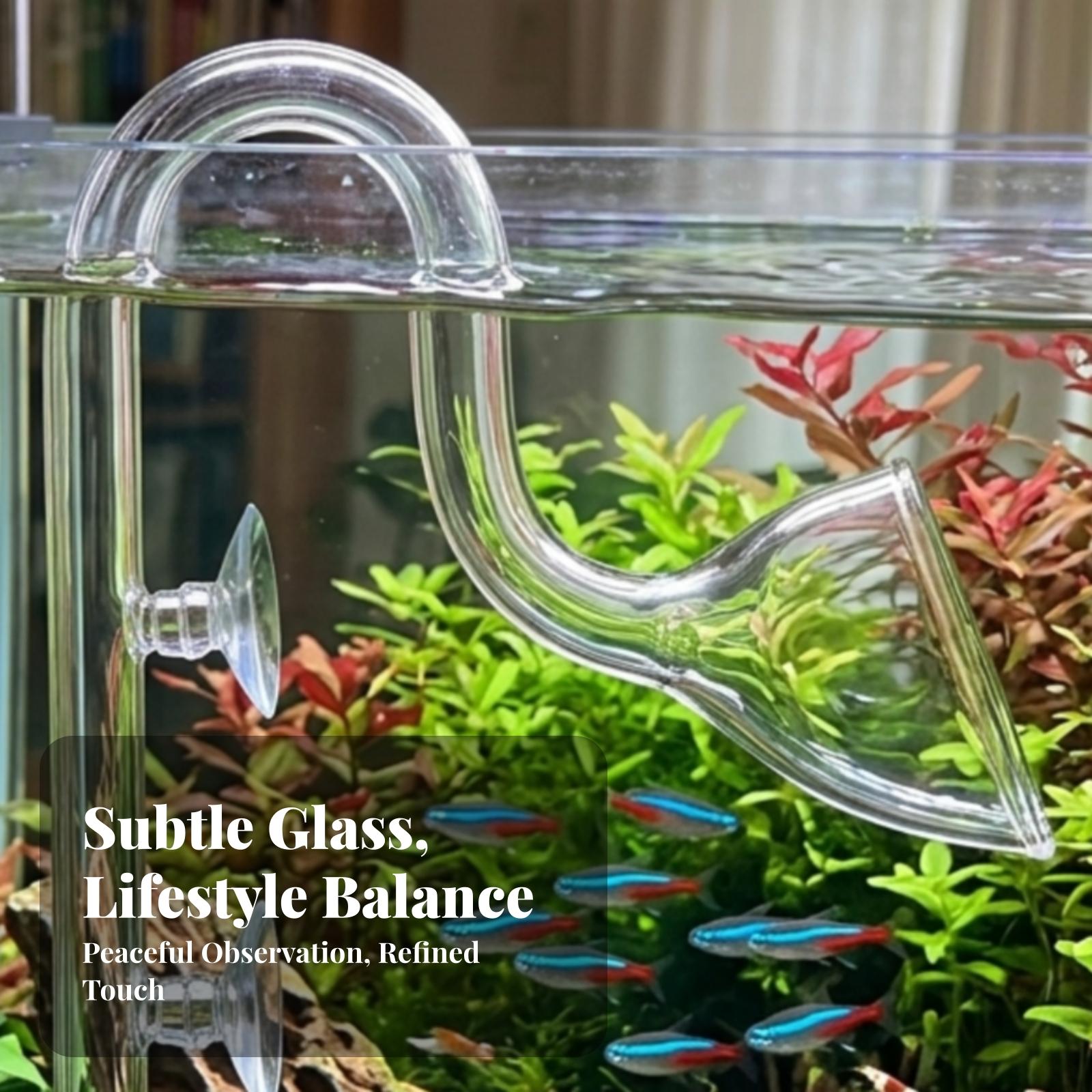 Set di tubi Lily Pipe traspare - Aquarium Planted Tank recensione e prezzo