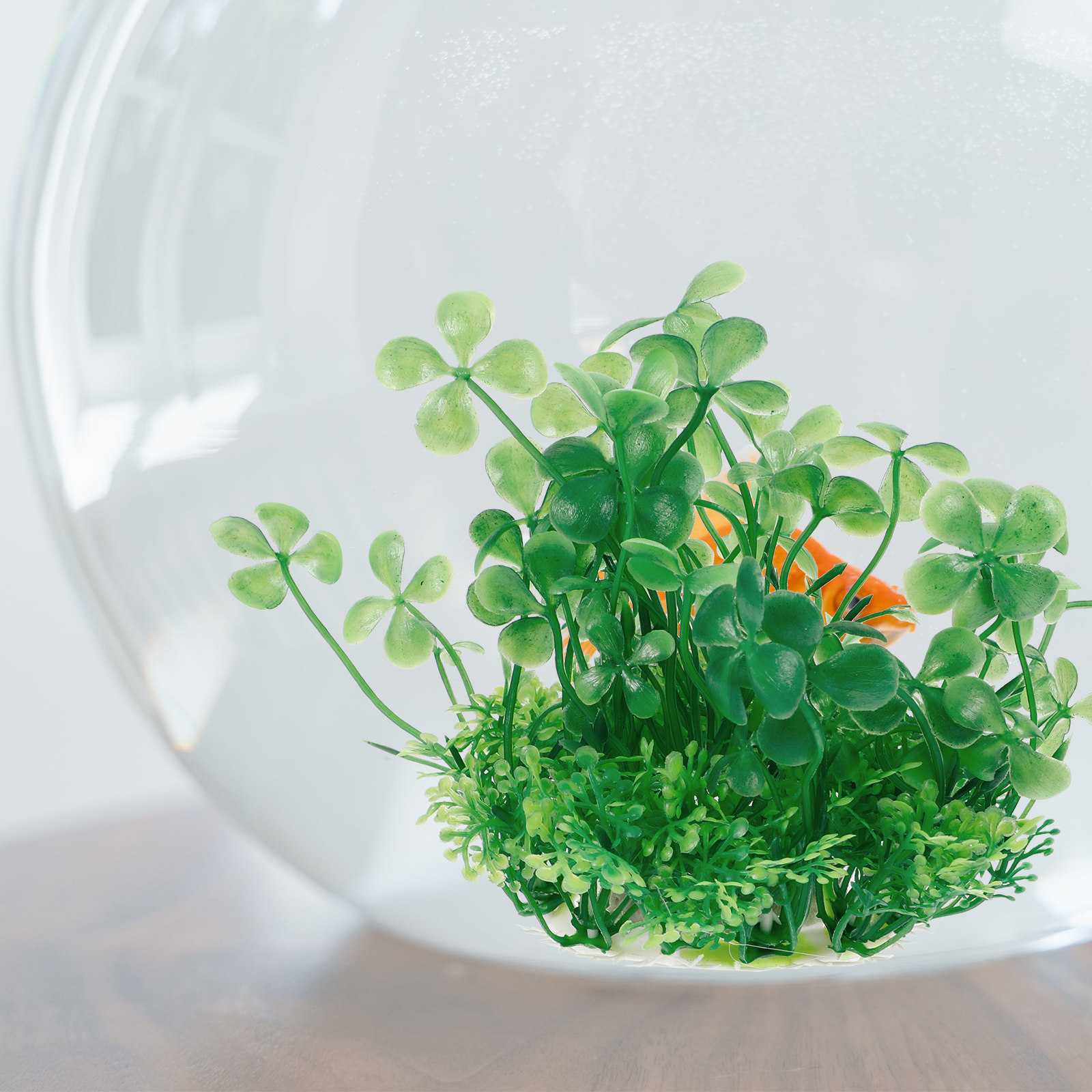 Piante artificiali per acquari - Aquarium Planted Setup recensione e prezzo