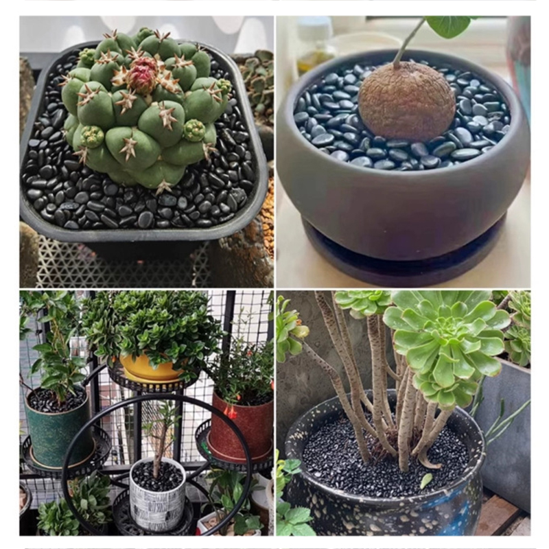 Pietre di fiume lucidate bianc - Aquarium Planting Ideas recensione e prezzo