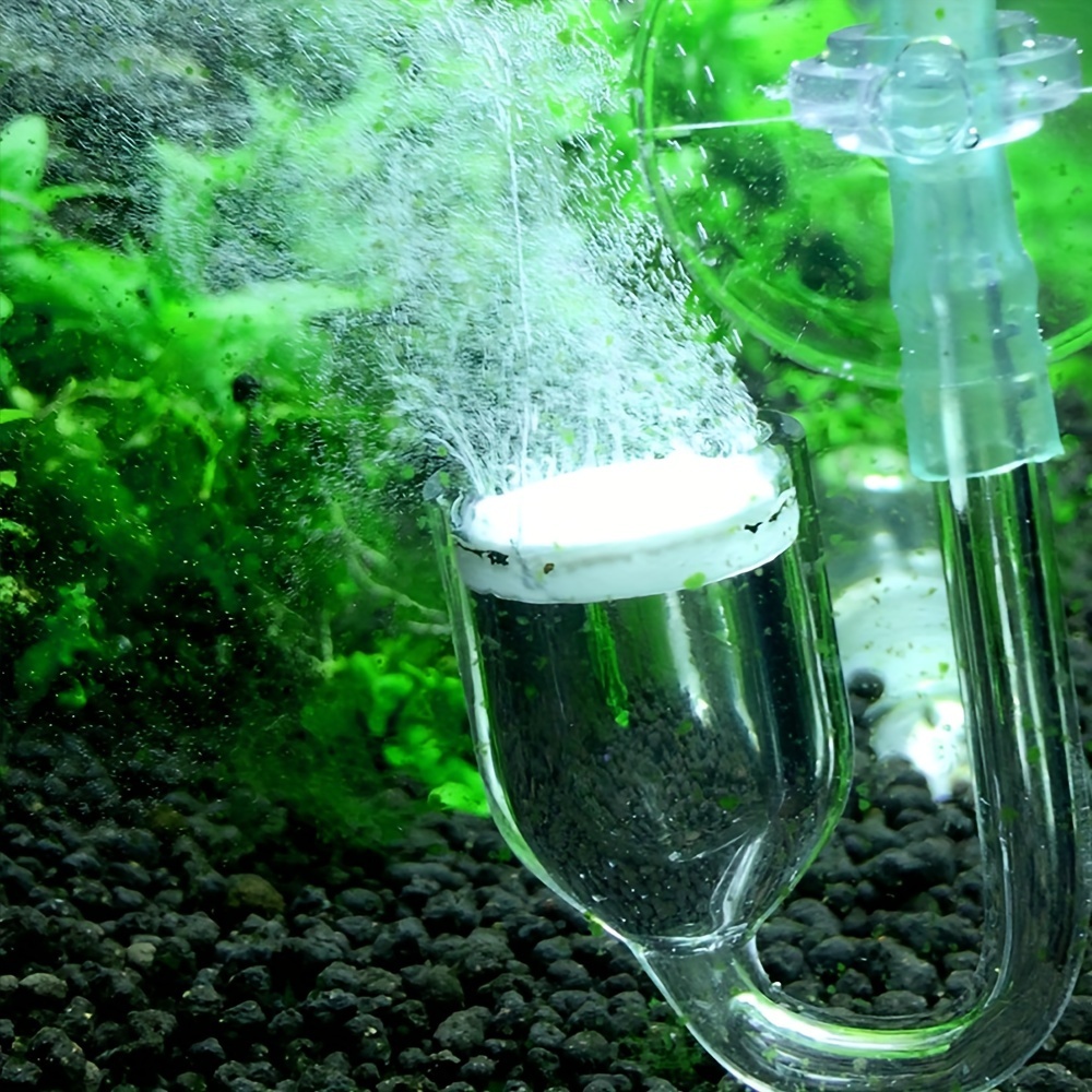 Acquario Vetro CO2 Atomizzator - Aquarium Plant In Pot recensione e prezzo
