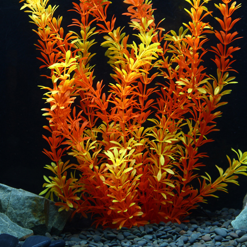 Piante Tropicali Artificiali d - Aquarium Planting Ideas recensione e prezzo