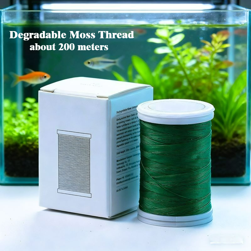 Decorazioni in Legno Naturale  - Aquarium Plant Echinodorus recensione e prezzo