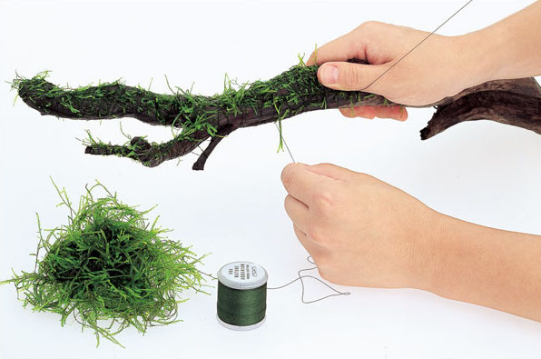 Decorazioni in Legno Naturale  - Aquarium Plant Echinodorus recensione e prezzo