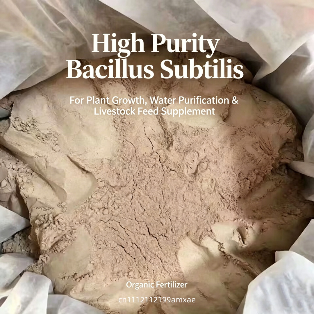 Polvere di Bacillus Subtilis a - Aquarium Plant Root Fertilizer recensione e prezzo