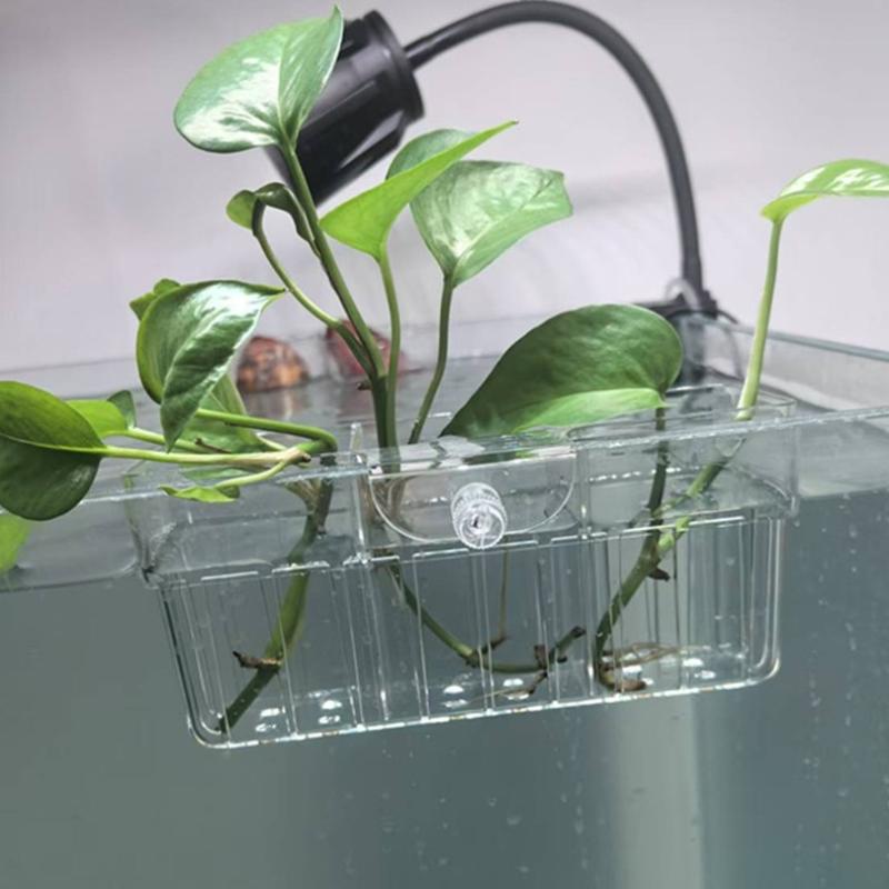 Cestino per Piante Idroponiche - Aquarium Planted Aquarium recensione e prezzo