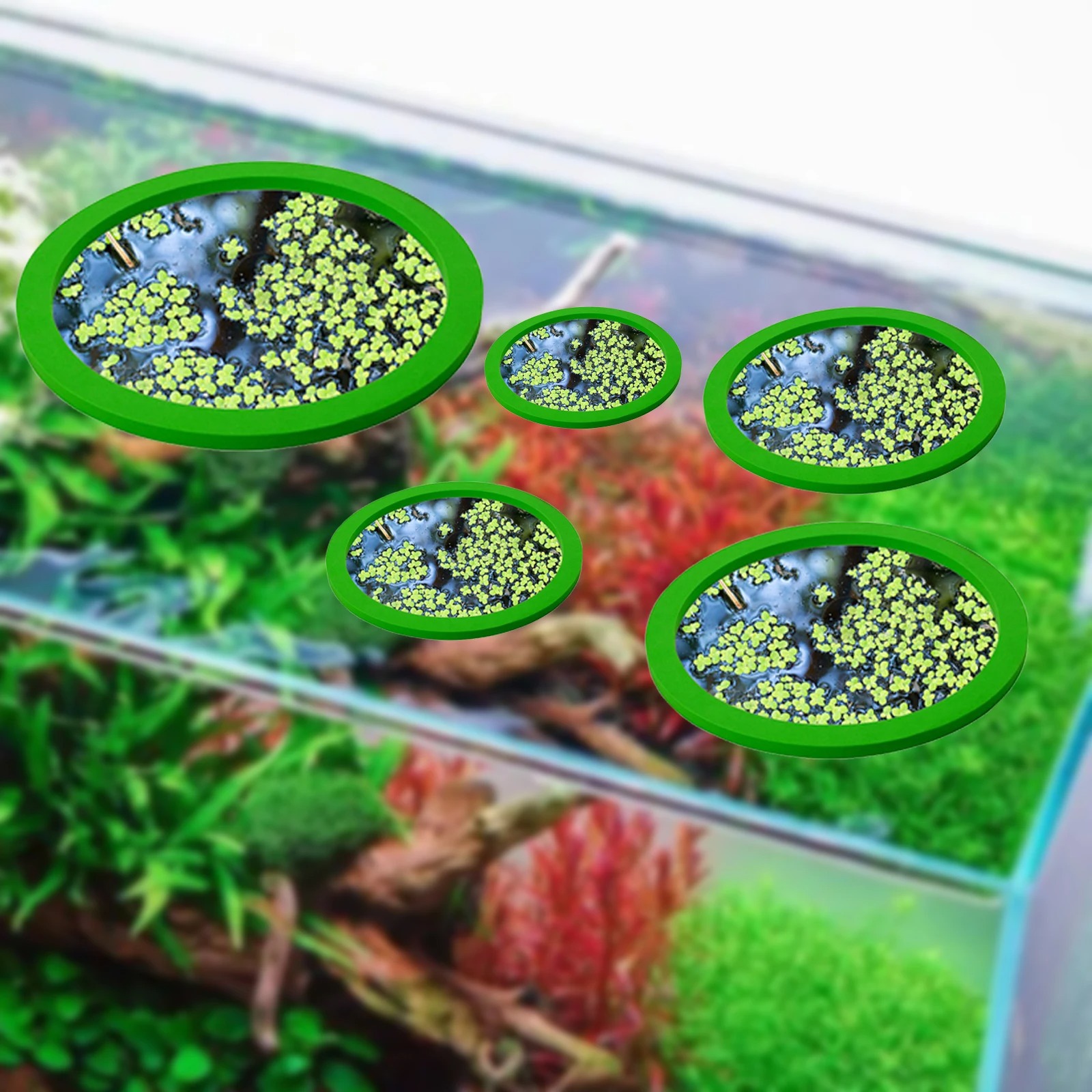 5 pz EVA Anello di Alimentazio - Aquarium Planted Aquarium recensione e prezzo
