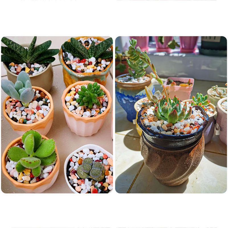 Pietra di ghiaia naturale 200~ - Aquarium Plant Gravel recensione e prezzo