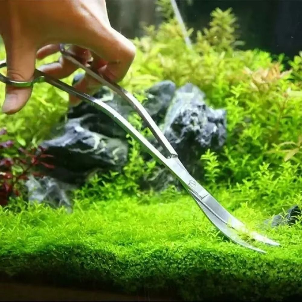 Forbici per Acquario in Acciai - Planted Aquarium Kit recensione e prezzo