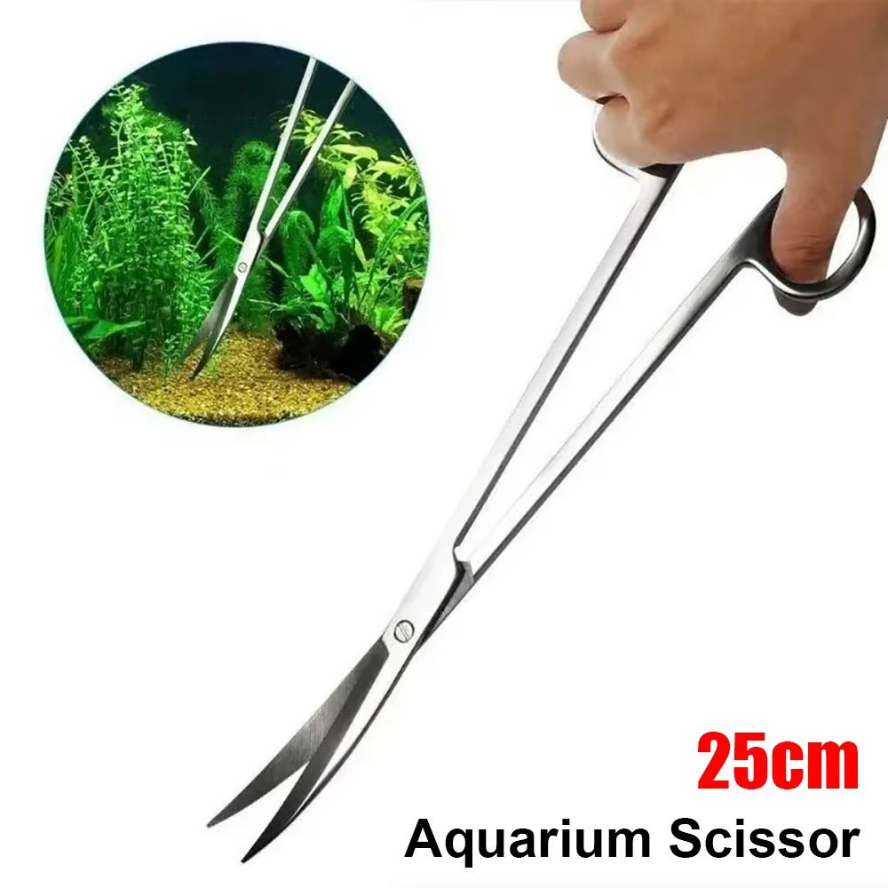 Forbici per Acquario in Acciai - Planted Aquarium Kit recensione e prezzo