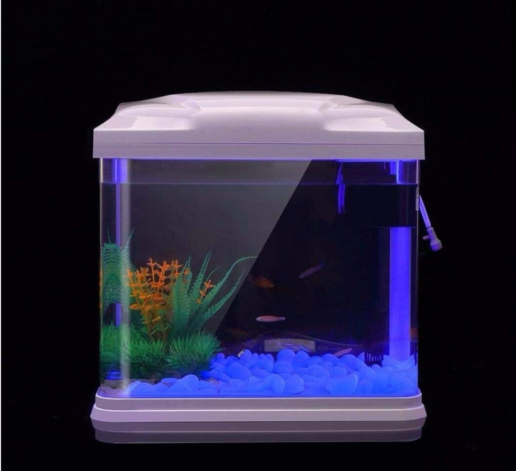 Rocce per acquari che si illum - Aquarium Planting Ideas recensione e prezzo