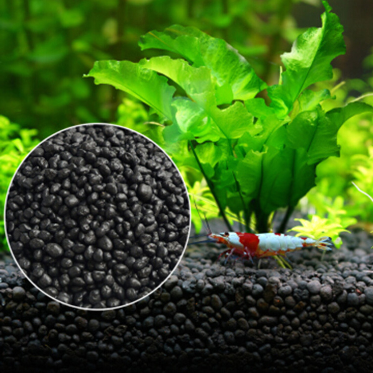 Acquario semi di piante terren - Aquarium Planting Ideas recensione e prezzo