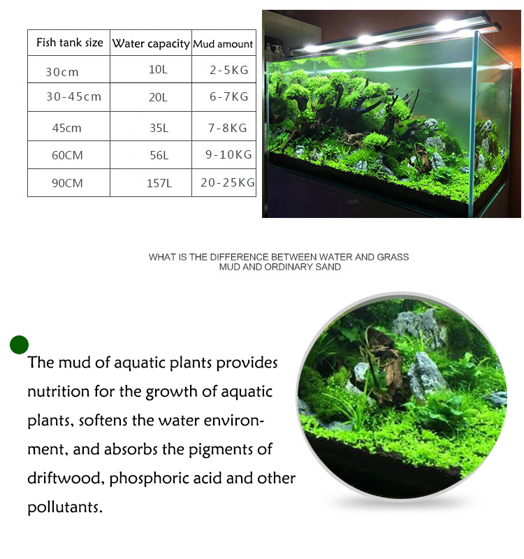 Acquario semi di piante terren - Aquarium Planting Ideas recensione e prezzo