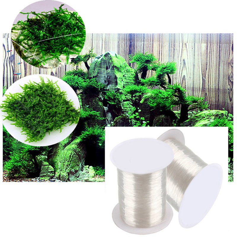 120M FAI DA TE Muschio Linea V - Aquarium Plant Echinodorus recensione e prezzo