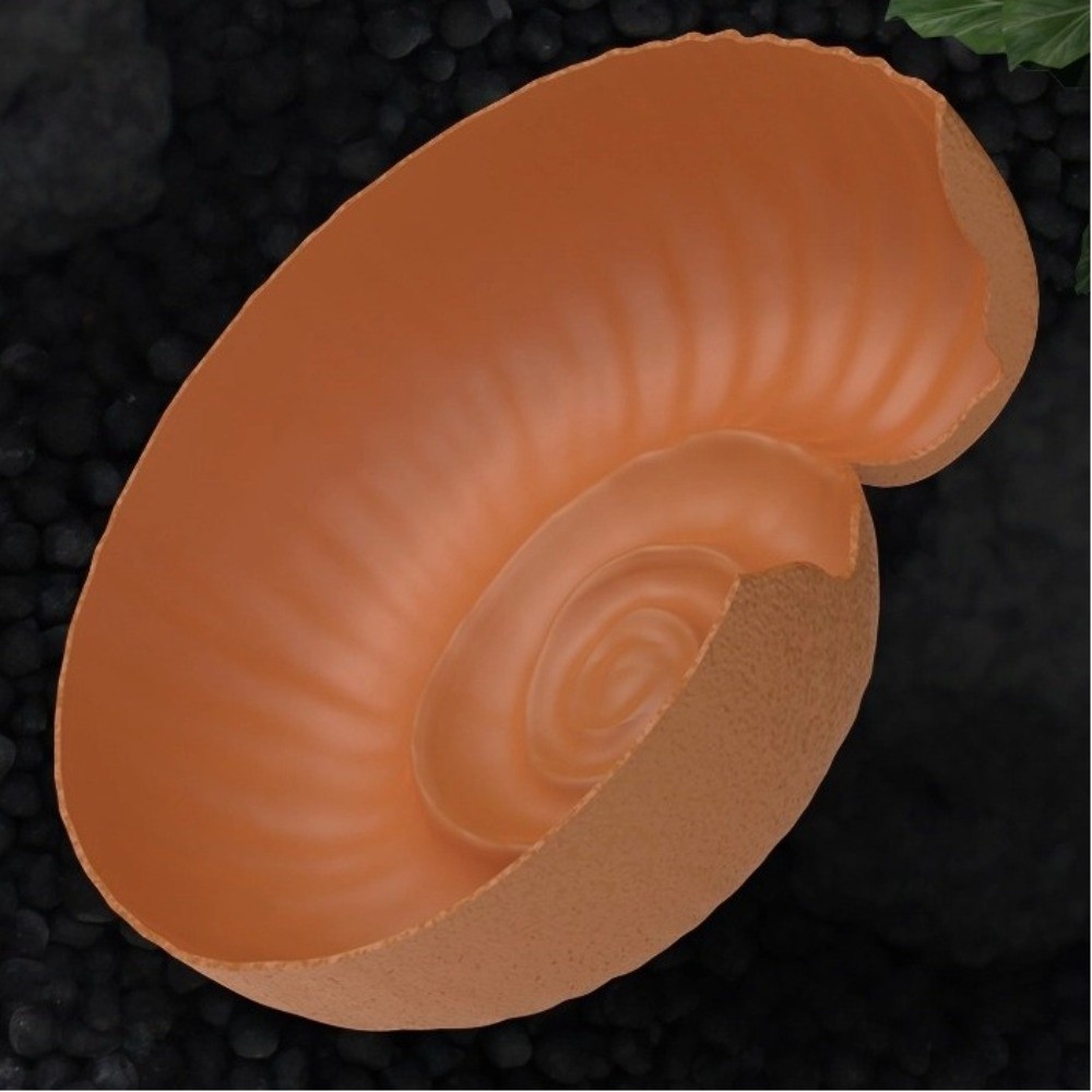 Caverna a forma di ammonite pe - Aquarium Planting Ideas recensione e prezzo