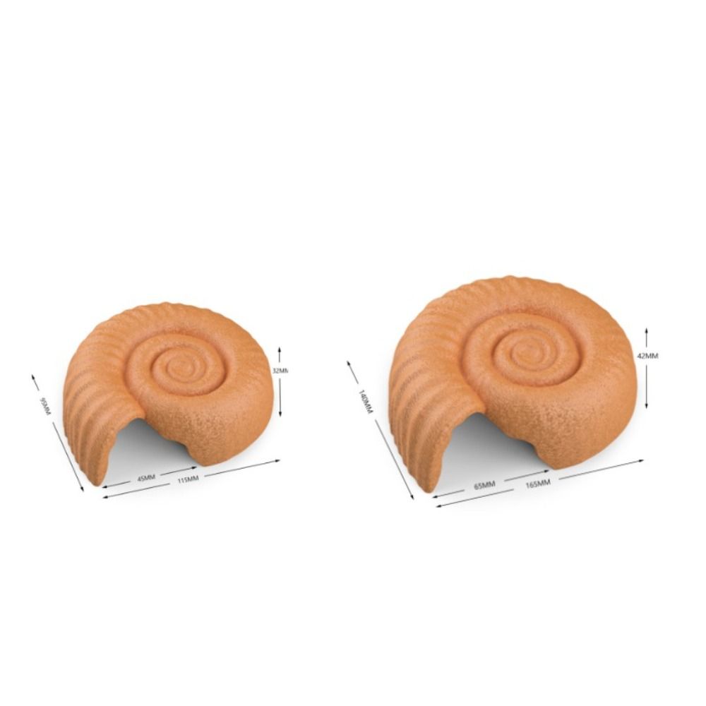 Caverna a forma di ammonite pe - Aquarium Planting Ideas recensione e prezzo
