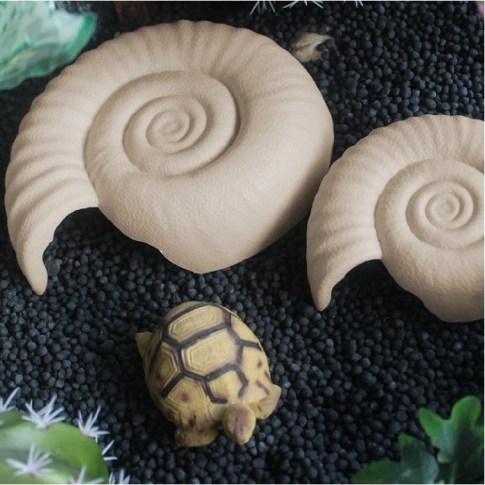Caverna a forma di ammonite pe - Aquarium Planting Ideas recensione e prezzo