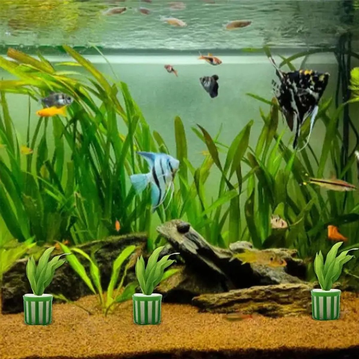 ABNQ Supporto Fissaggio Piante - Planted Aquarium Tool Kit recensione e prezzo