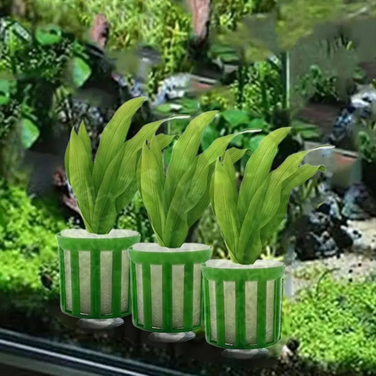 ABNQ Supporto Fissaggio Piante - Planted Aquarium Tool Kit recensione e prezzo