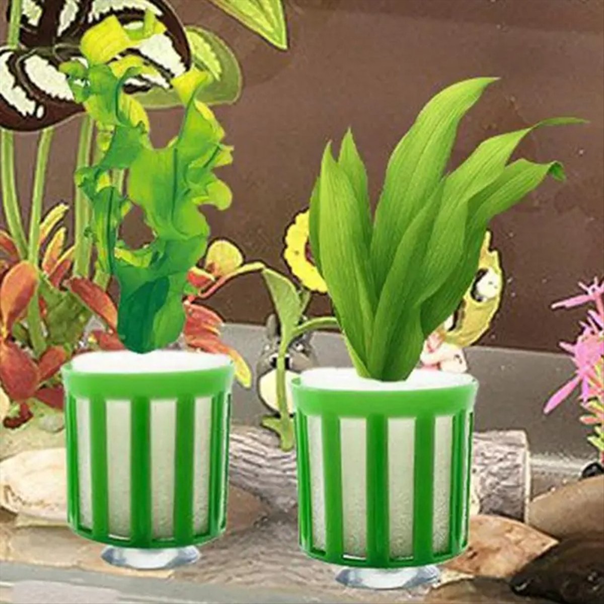 ABNQ Supporto Fissaggio Piante - Planted Aquarium Tool Kit recensione e prezzo