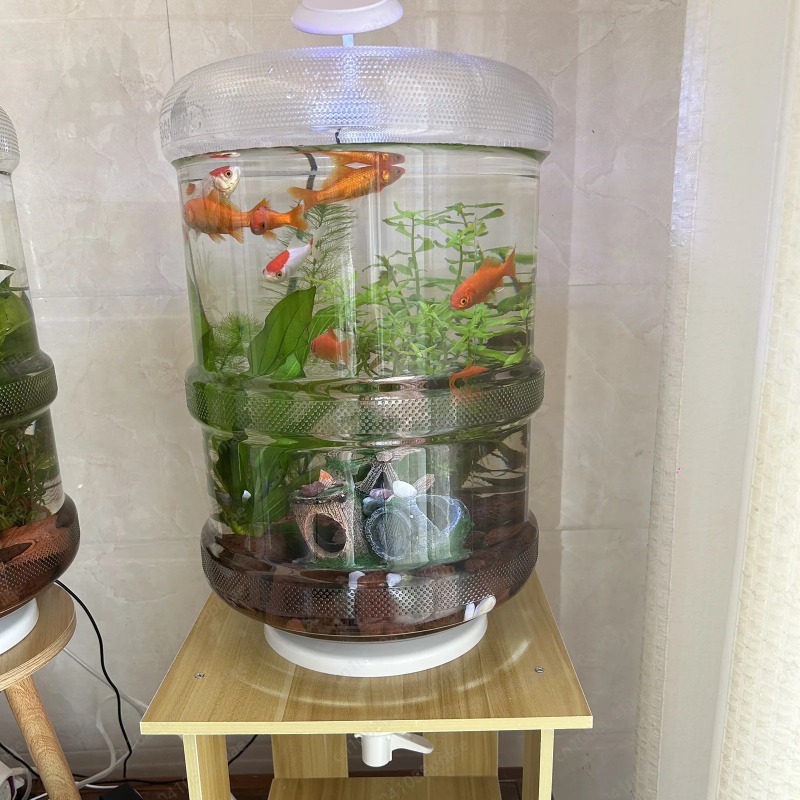 Configurazione istantanea Acqu - Aquarium Planted Setup recensione e prezzo
