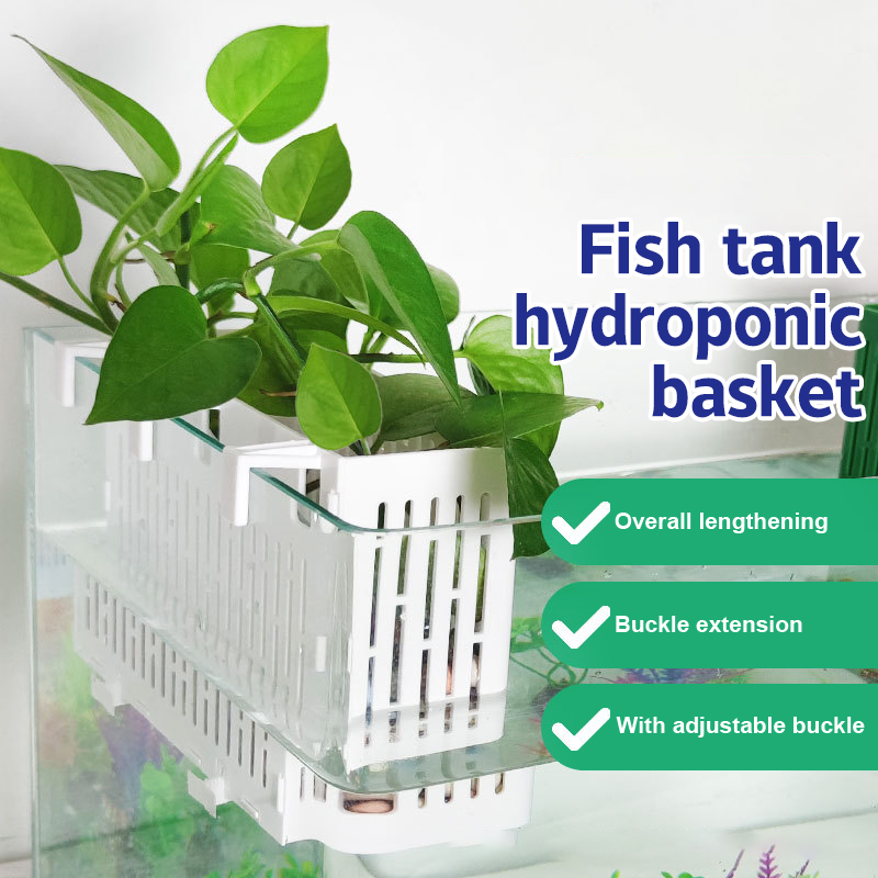 【F】Porta-piante sospeso per ac - Aquarium Planting Ideas recensione e prezzo