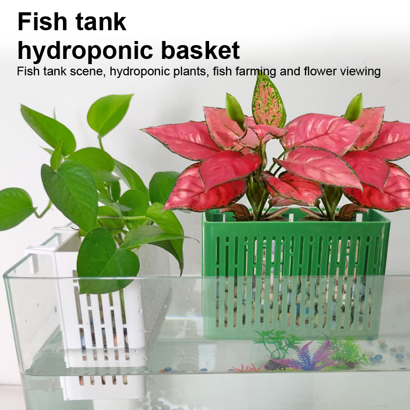 【F】Porta-piante sospeso per ac - Aquarium Planting Ideas recensione e prezzo