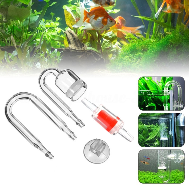 Set da 4 pezzi diffusore di CO - Planted Aquarium Kit recensione e prezzo