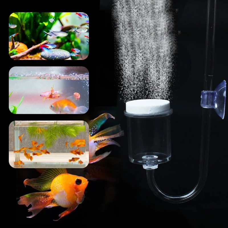 Set da 4 pezzi diffusore di CO - Planted Aquarium Kit recensione e prezzo