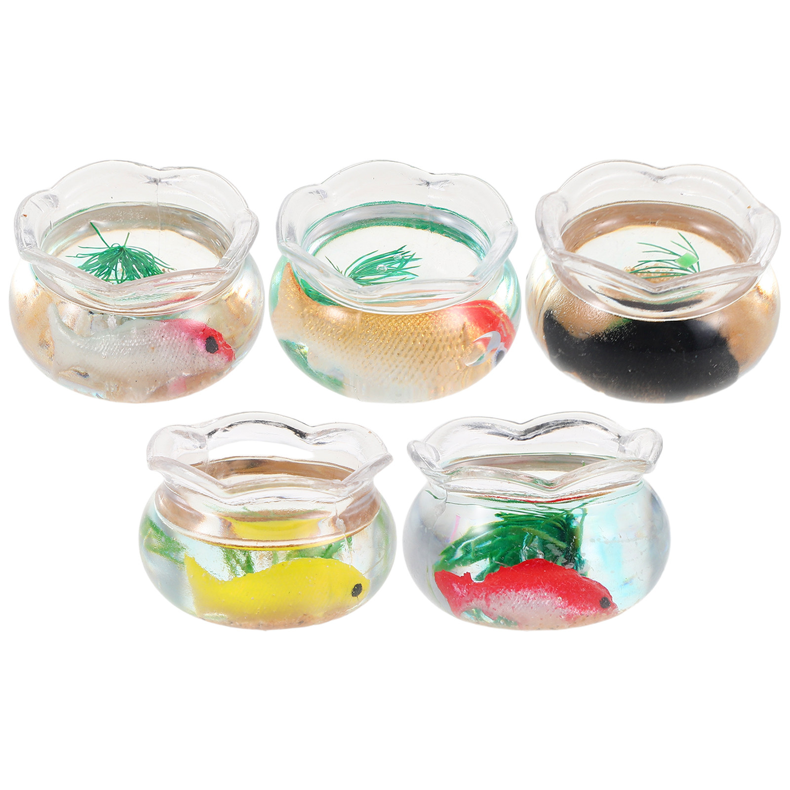 5 Pezzi di Mini Acquari Rotond - Aquarium Planted Aquarium recensione e prezzo